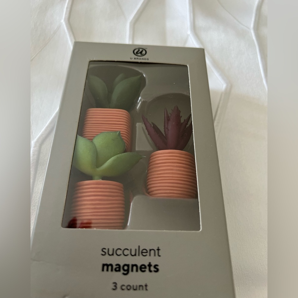 Succulent Magnets - Green and Purple - Picture 3 of 3
